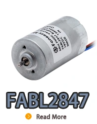 FABL2847 бесщеточный электродвигатель постоянного тока с внутренним ротором со встроенным драйвером