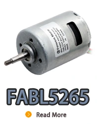 Бесщеточный электродвигатель постоянного тока с внутренним ротором FABL5265 со встроенным драйвером